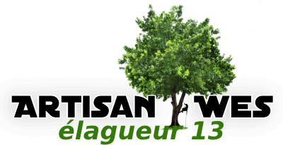 elagage-artisan-wes-elagueur-13